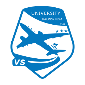 全国青少年模拟飞行锦标赛